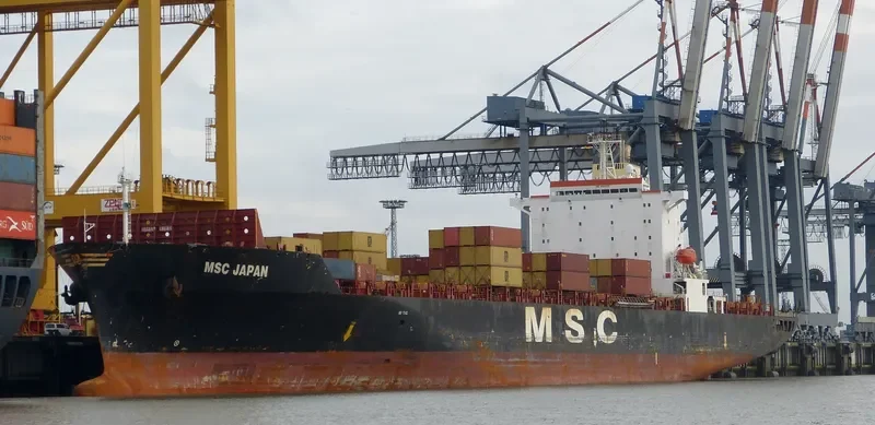 MSC JAPAN Container Ship IMO 9110975 photo 6