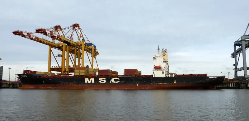 MSC JAPAN Container Ship IMO 9110975 photo 7