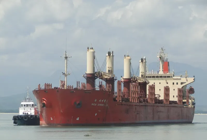NEW EMERALD Bulk Carrier IMO 9110987 photo 2