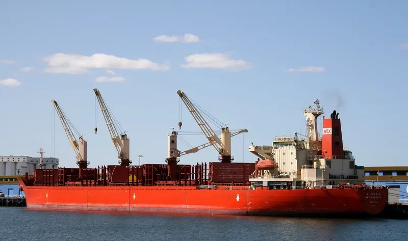 NEW EMERALD Bulk Carrier IMO 9110987 photo 5