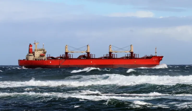 NEW EMERALD Bulk Carrier IMO 9110987 photo 6
