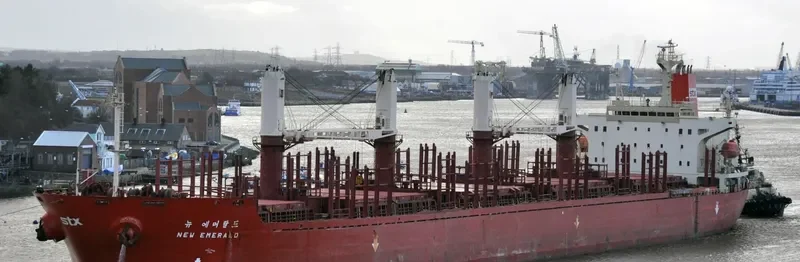 NEW EMERALD Bulk Carrier IMO 9110987 photo 9