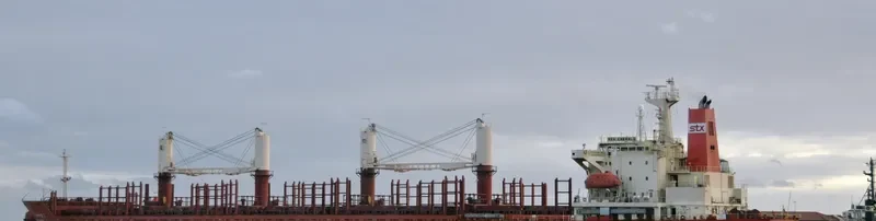 NEW EMERALD Bulk Carrier IMO 9110987 photo 10