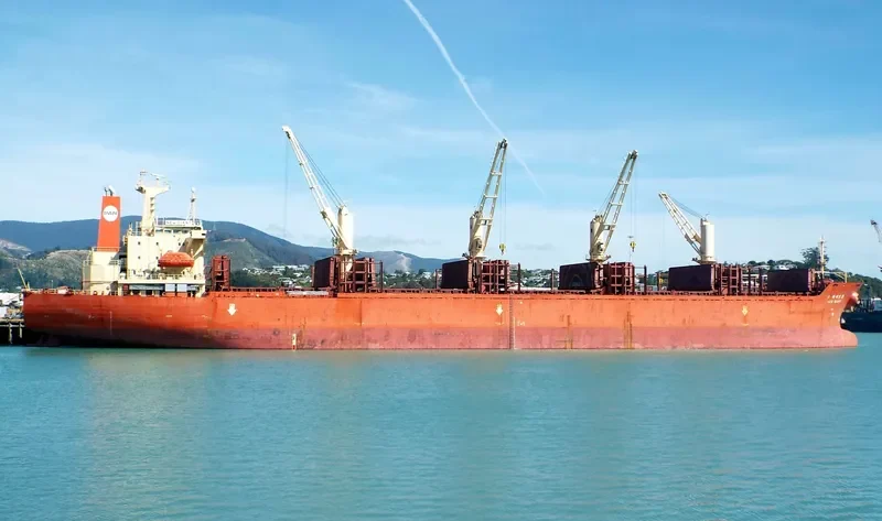 NEW GIANT Bulk Carrier IMO 9111008 photo 2
