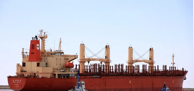 NEW GIANT Bulk Carrier IMO 9111008 photo 3