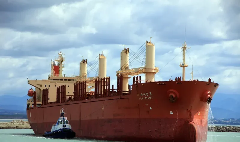 NEW GIANT Bulk Carrier IMO 9111008 photo 4