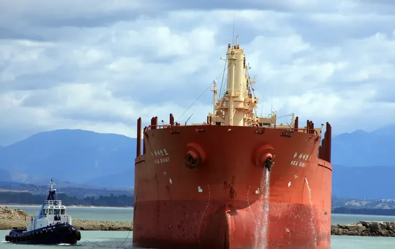 NEW GIANT Bulk Carrier IMO 9111008 photo 5