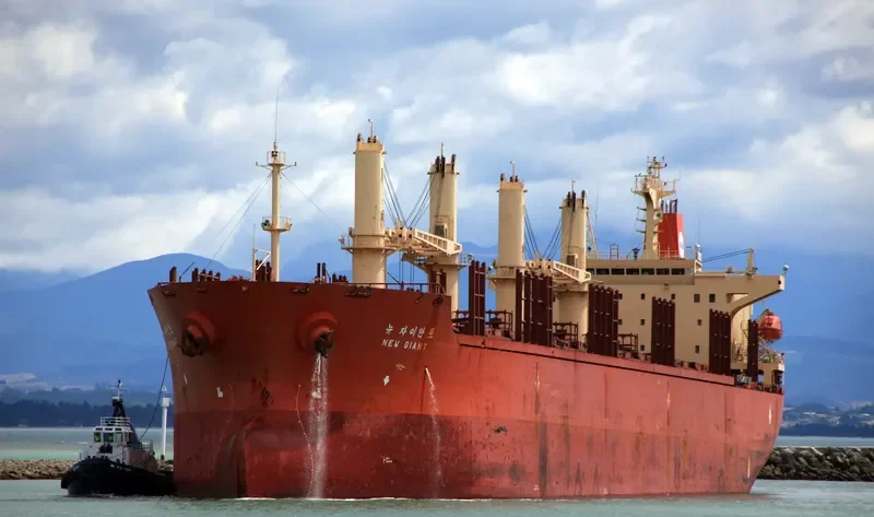 NEW GIANT Bulk Carrier IMO 9111008 photo 6