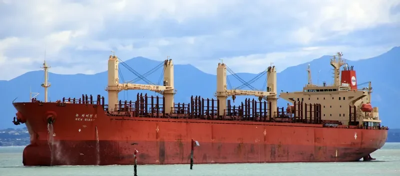 NEW GIANT Bulk Carrier IMO 9111008 photo 7