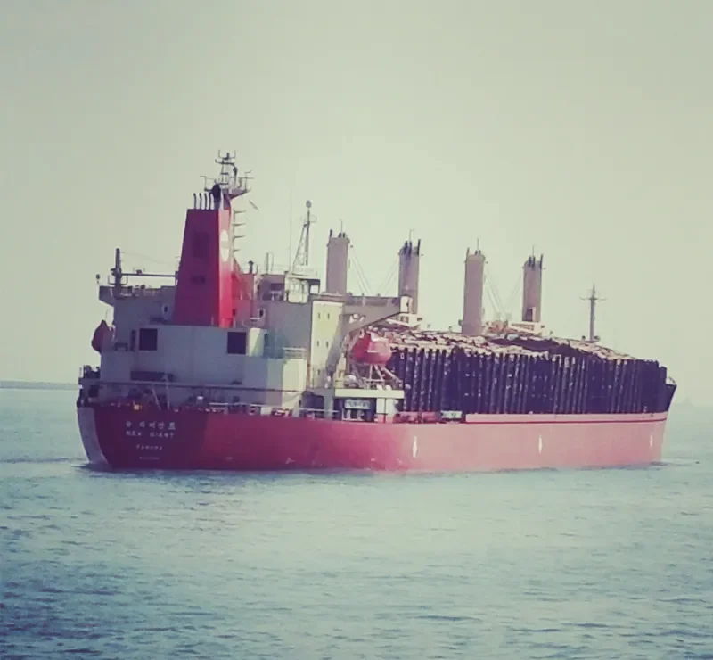 NEW GIANT Bulk Carrier IMO 9111008 photo 8