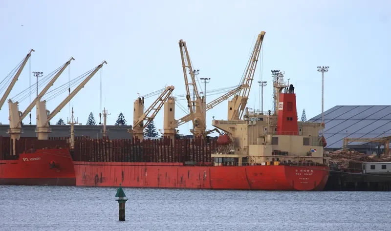 NEW GIANT Bulk Carrier IMO 9111008 photo 10