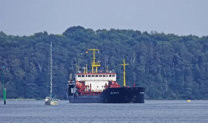 IVAN SHCHEPETOV General Cargo IMO 9111060 photo 7