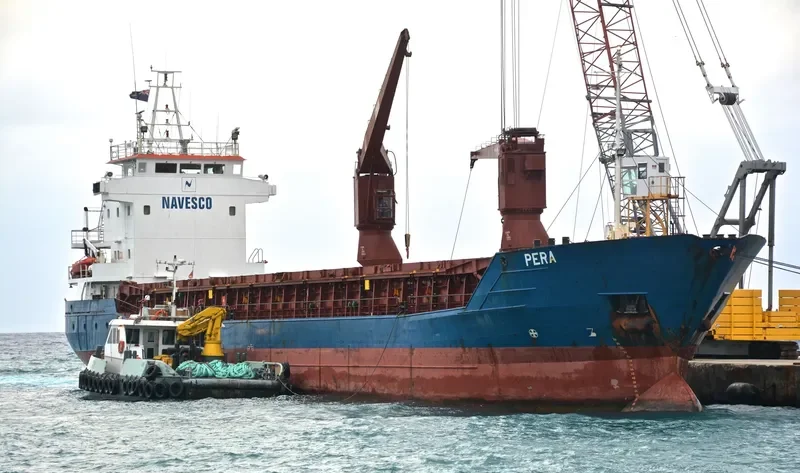 PERA General Cargo IMO 9111149