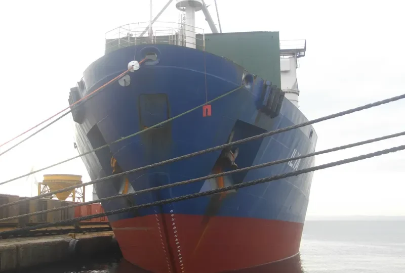 ILYA General Cargo IMO 9111228 photo 8