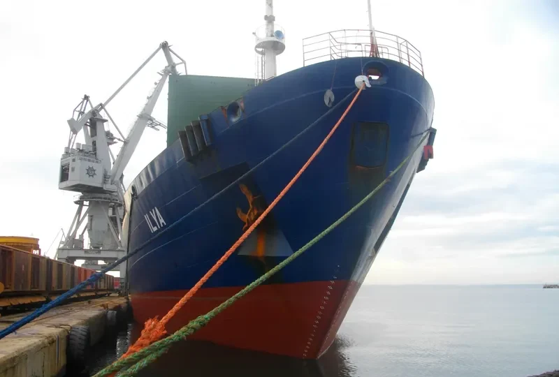 ILYA General Cargo IMO 9111228 photo 9