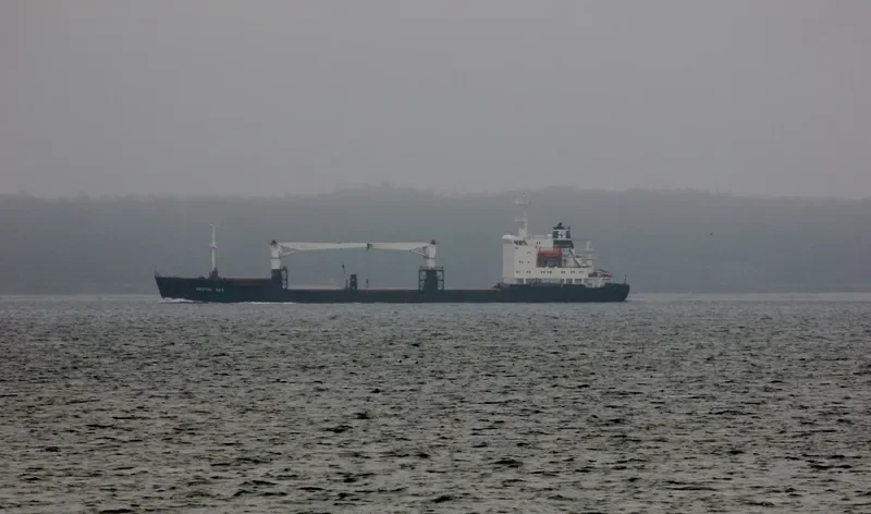 ARCTIC SKY General Cargo IMO 9111242 photo 7