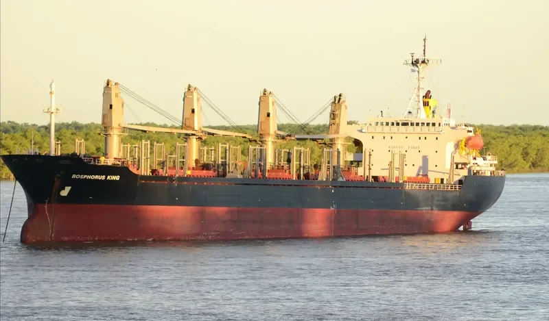 BOSPHORUS KING Bulk Carrier IMO 9111357