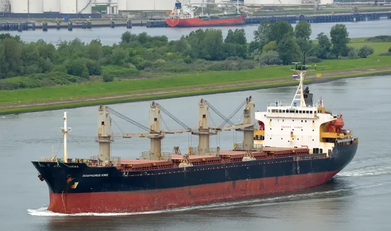 BOSPHORUS KING Bulk Carrier IMO 9111357 photo 3