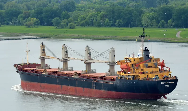 BOSPHORUS KING Bulk Carrier IMO 9111357 photo 5