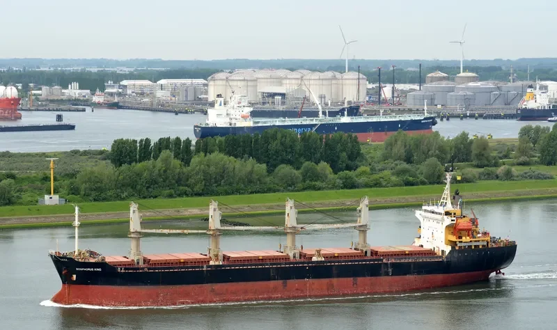 BOSPHORUS KING Bulk Carrier IMO 9111357 photo 6