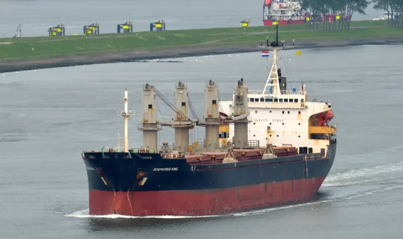 BOSPHORUS KING Bulk Carrier IMO 9111357 photo 7