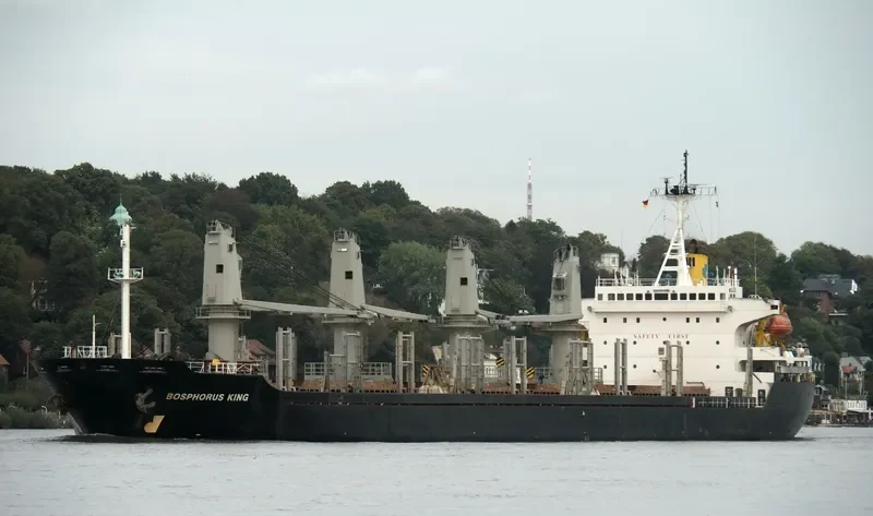 BOSPHORUS KING Bulk Carrier IMO 9111357 photo 10
