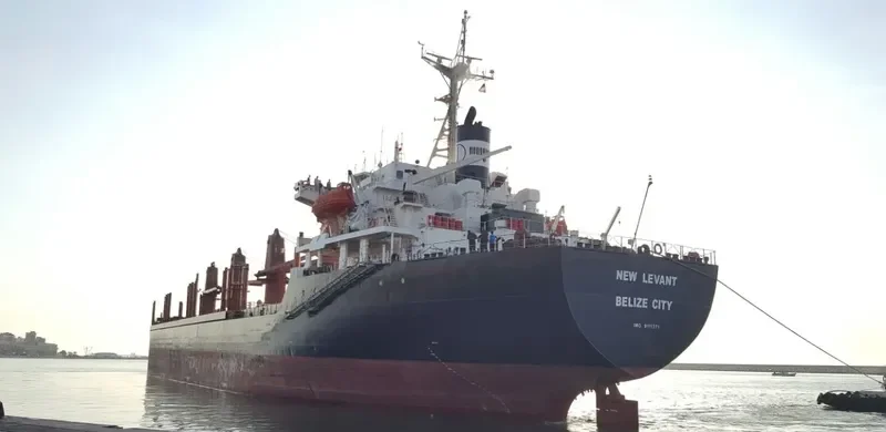 NEW LEVANT Bulk Carrier IMO 9111371