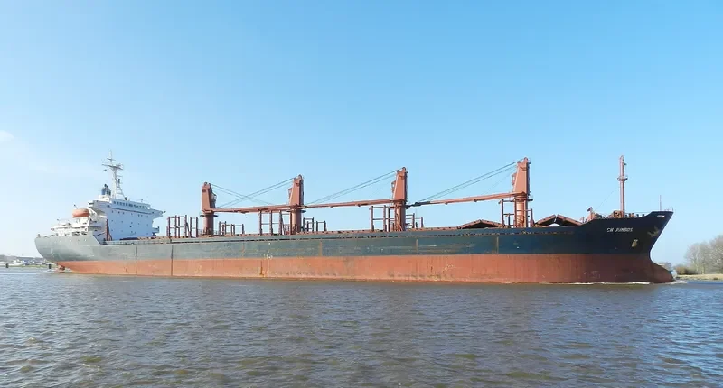 NEW LEVANT Bulk Carrier IMO 9111371 photo 8