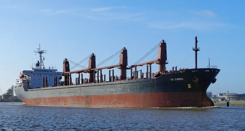 NEW LEVANT Bulk Carrier IMO 9111371 photo 9