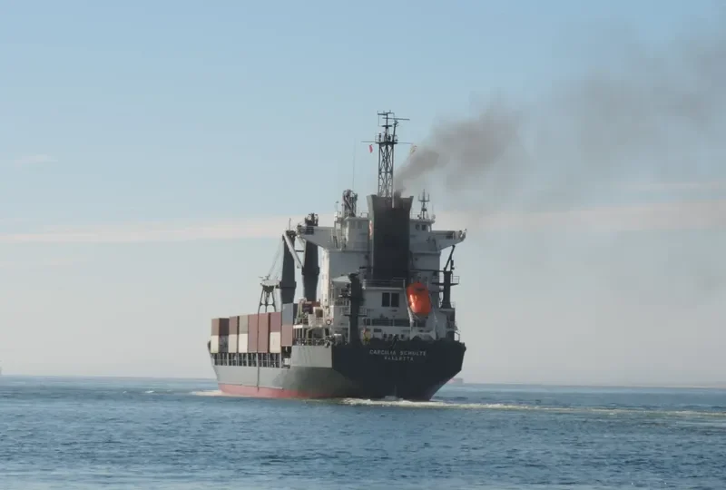 LILY QUEEN Container Ship IMO 9111462