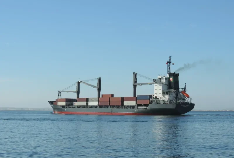 LILY QUEEN Container Ship IMO 9111462 photo 2
