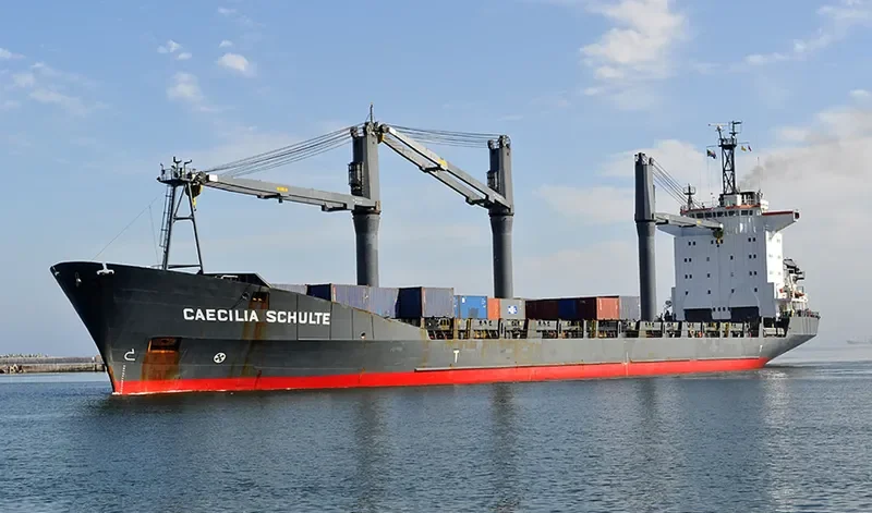 LILY QUEEN Container Ship IMO 9111462 photo 3