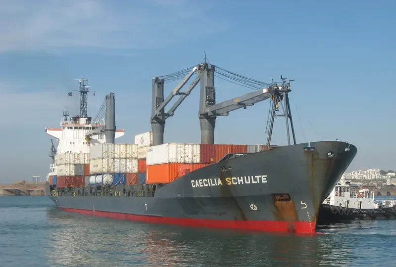 LILY QUEEN Container Ship IMO 9111462 photo 5