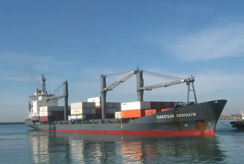LILY QUEEN Container Ship IMO 9111462 photo 6