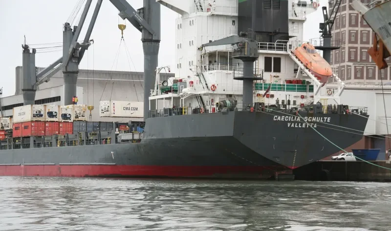 LILY QUEEN Container Ship IMO 9111462 photo 7