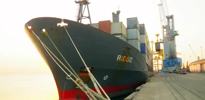 LILY QUEEN Container Ship IMO 9111462 photo 8
