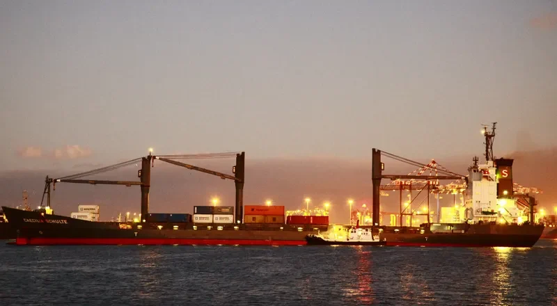 LILY QUEEN Container Ship IMO 9111462 photo 10