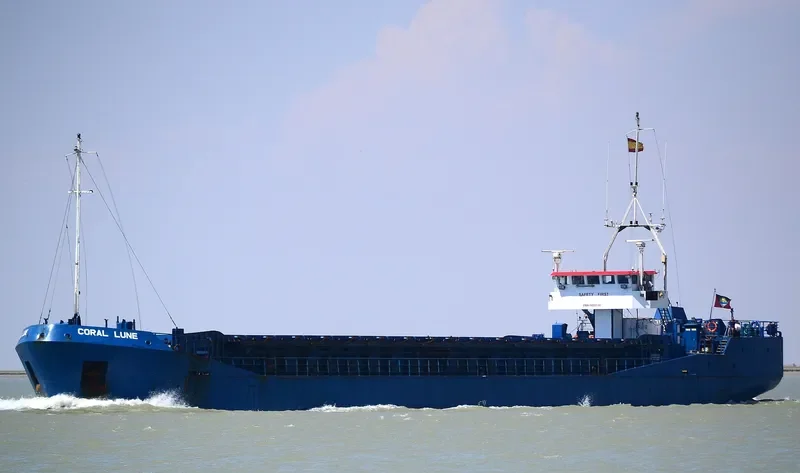 RANIS General Cargo IMO 9111541 photo 5