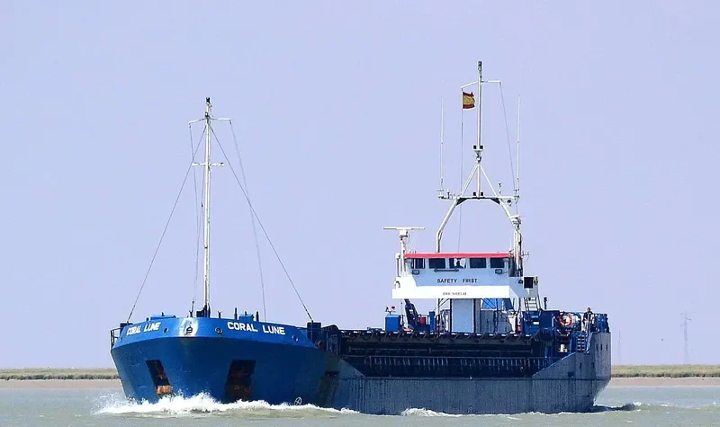 RANIS General Cargo IMO 9111541 photo 6