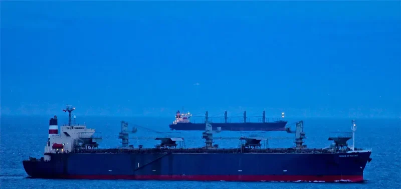 FUTONG EXPRESS Bulk Carrier IMO 9111589 photo 2