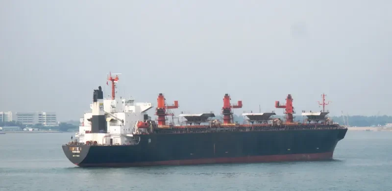 FUTONG EXPRESS Bulk Carrier IMO 9111589 photo 3