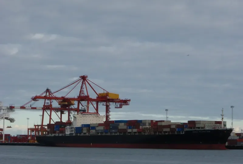 BUNGA PELANGI DUA Container Ship IMO 9111618
