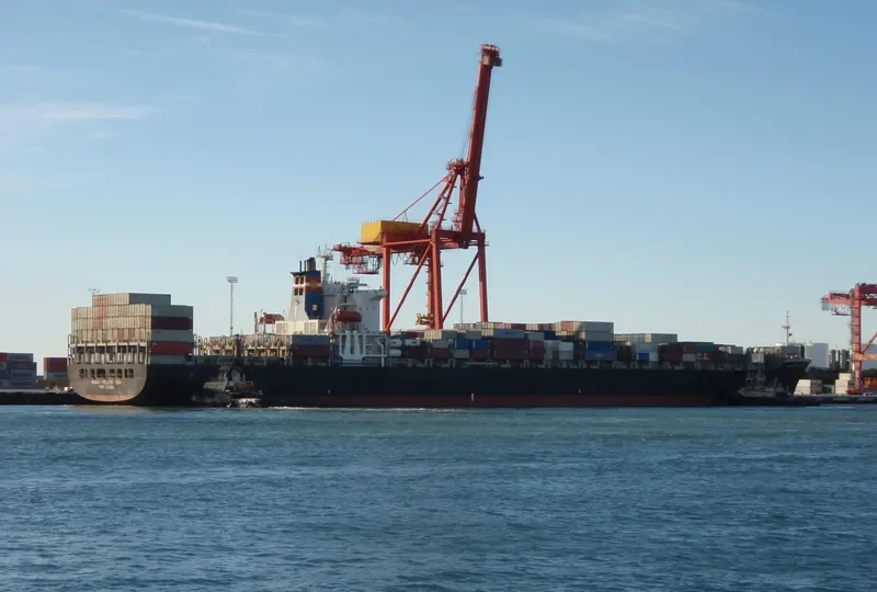 BUNGA PELANGI DUA Container Ship IMO 9111618 photo 2
