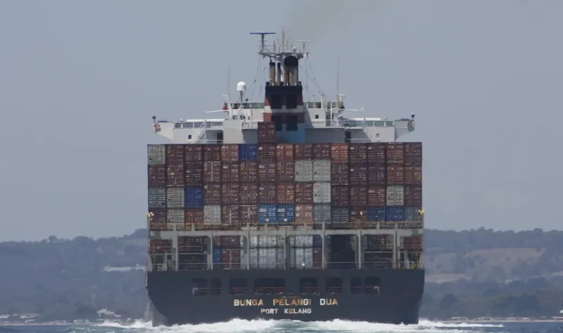 BUNGA PELANGI DUA Container Ship IMO 9111618 photo 8
