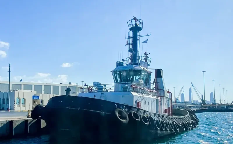 THEODOROS V General Cargo IMO 9111826 photo 9