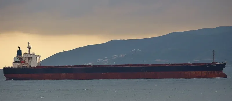 VICTORY Bulk Carrier IMO 9111917 photo 3