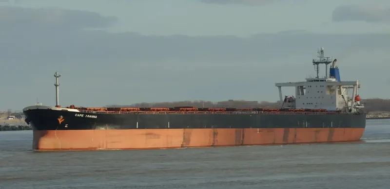 VICTORY Bulk Carrier IMO 9111917 photo 5