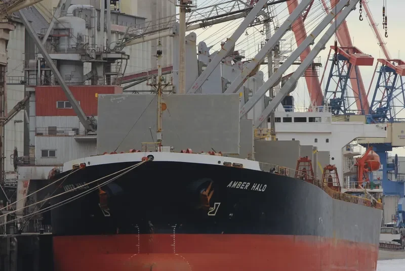 BEST LEADER Bulk Carrier IMO 9111929