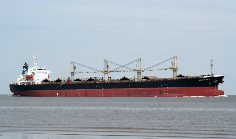 BEST LEADER Bulk Carrier IMO 9111929 photo 2