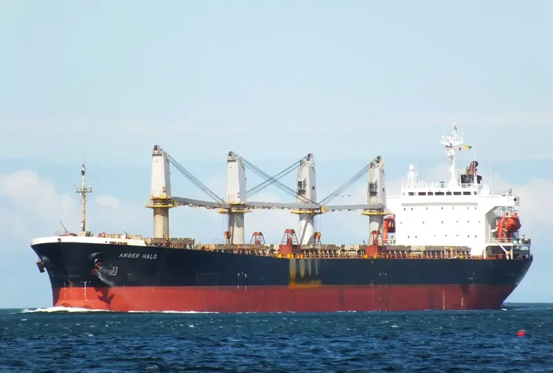 BEST LEADER Bulk Carrier IMO 9111929 photo 5